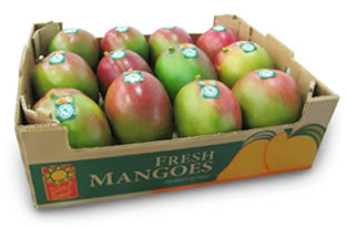 Mango - PRODUCT  EXPORT  PERU S A C